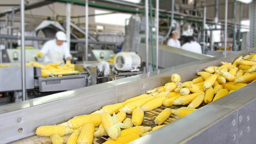Food Production Processes with Proper Weighing Practices